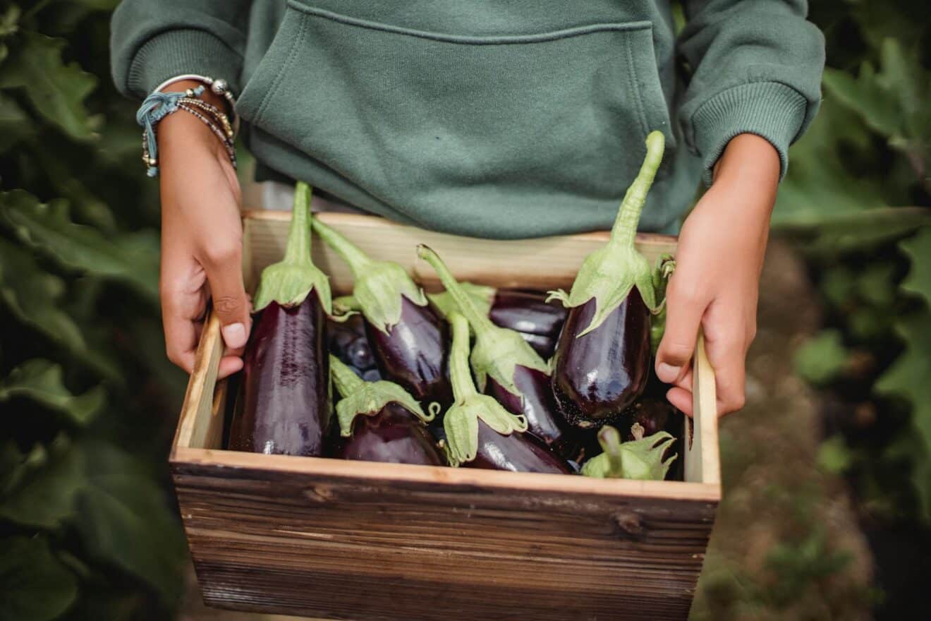 Votre potager déborde d'aubergines ? Voici 3 recettes originales pour vous régaler avec ce légume