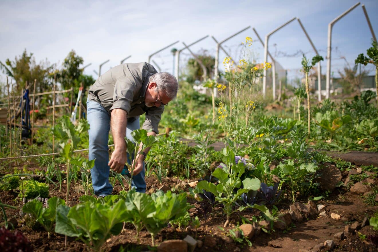 Jardiner sans pesticides : des alternatives naturelles pour un jardin sain