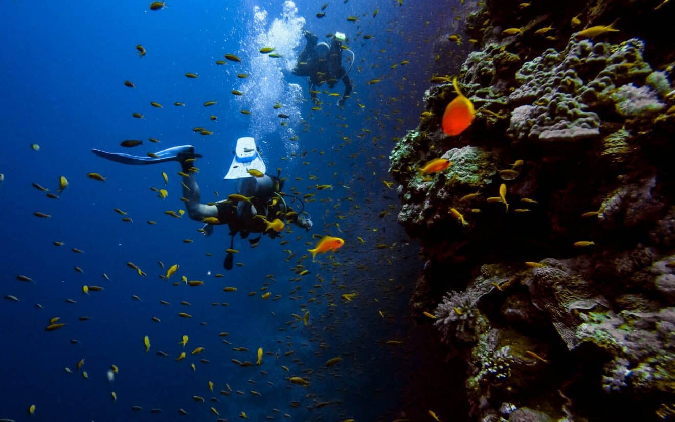 Plongée sous-marine : découvrez les 3 erreurs qui pourraient vous couter la vie sous l'eau