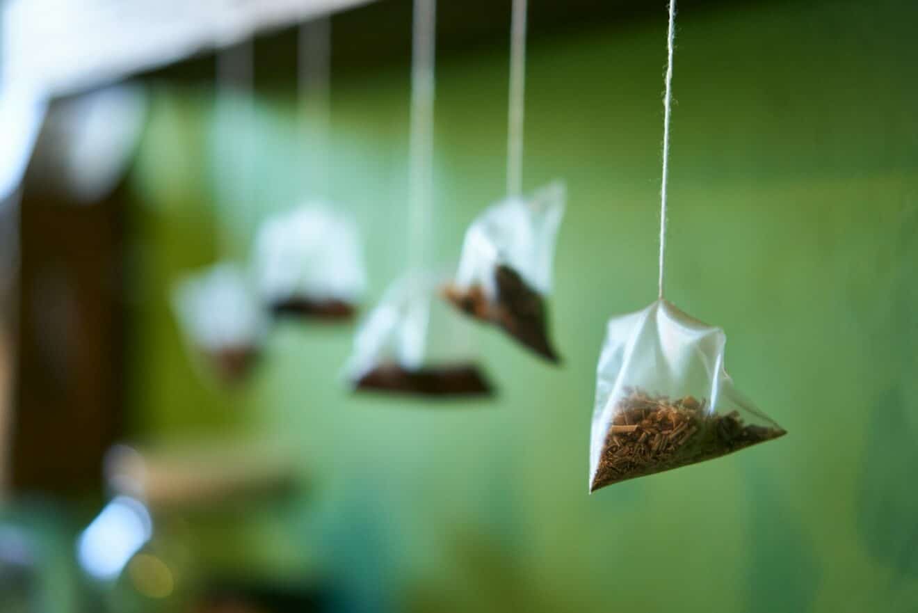 Ne jetez plus vos sachets de thé, ils sont indispensables pour votre potager et vos plantes !